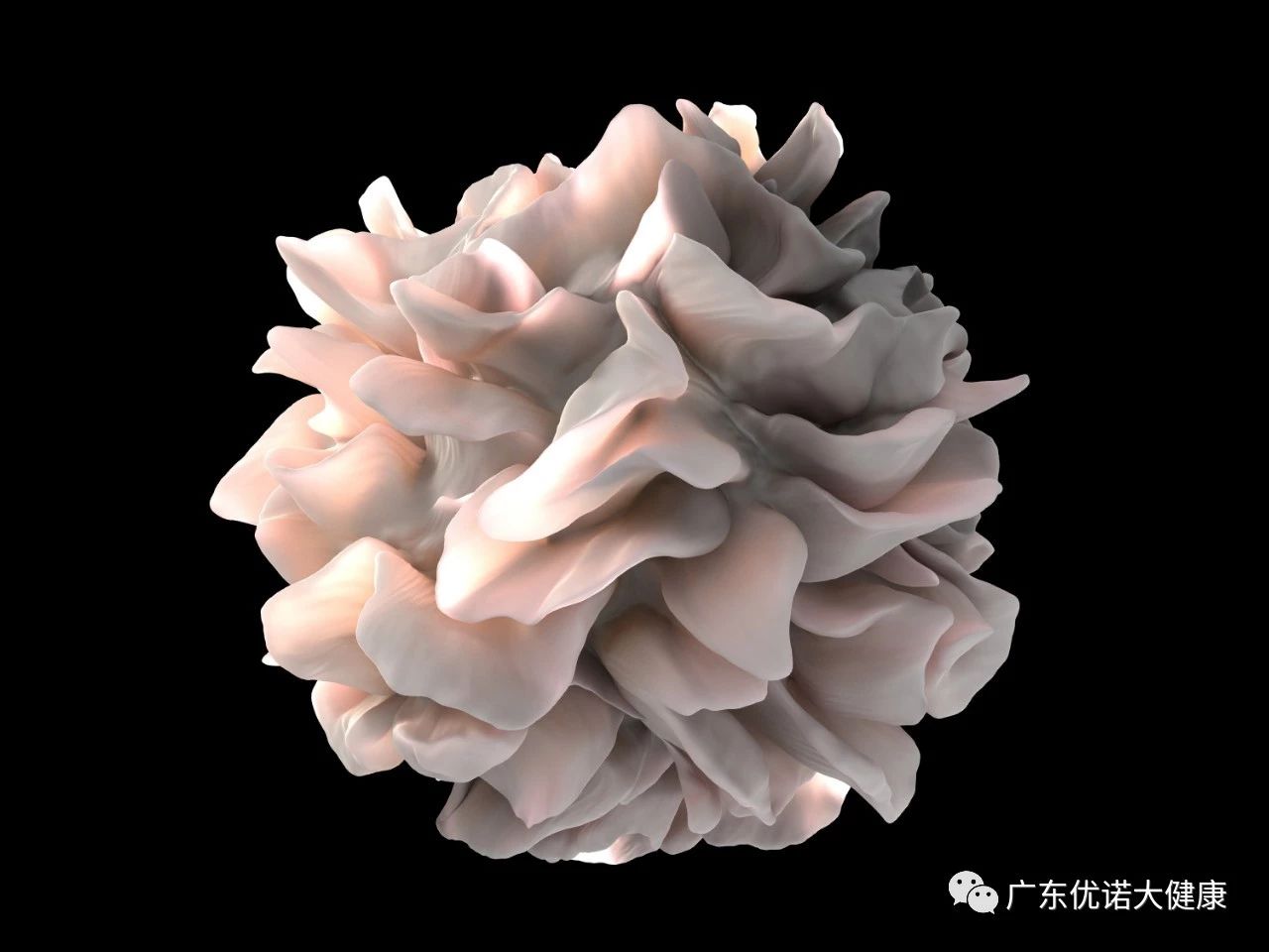 《Cell》子刊：預(yù)防癌癥復(fù)發(fā)新方法：制造大量樹突細胞